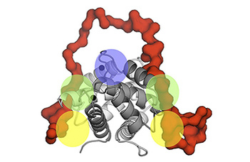 News findings in the molecular background of skin cancer