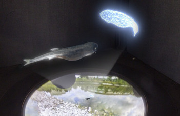In VR school, fish teach robots