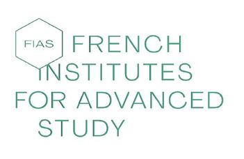 French Institutes for Advanced Study Fellowship Programme - Call for applications