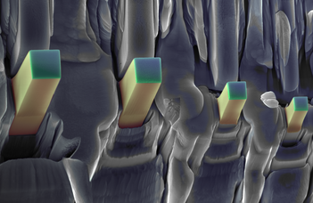 Smallest earthquakes ever detected in micron-scale metals