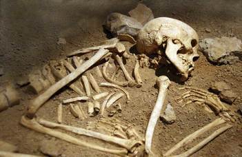 The 4000-year-old cremated bones tell of a tragic fate
