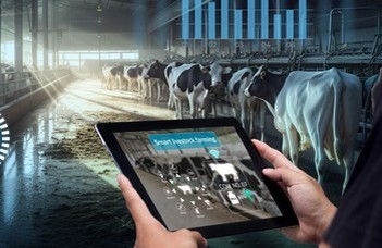 How can artificial intelligence aid industrial animal husbandry?