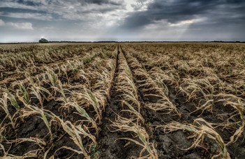 Alleviate the drought in the East Hungarian Plains
