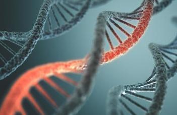 Closer to understanding genetic diseases
