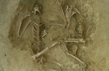 5700 éves leprás lelet Abonyból