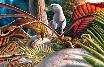 Az első hazai dinoszaurusztojás-leletek