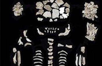 Ikermagzataival eltemetett nő négyezer éves hamvaira bukkantak a kutatók