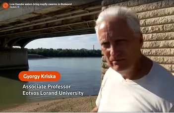 Korábban kezdődik a dunavirágzás (hirado.hu)
