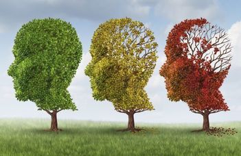 Új eredmények az Alzheimer-kutatásban