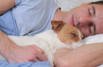 Mi zajlik az alvó kutyák agyában ismeretlen helyen?
