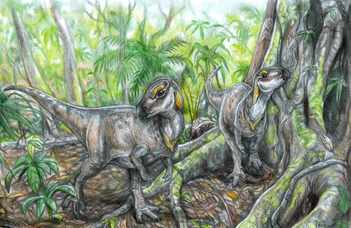 Újabb dinoszaurusz-csontvázakra bukkantak a Hátszegi-medencében