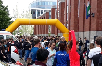 5vös 5km