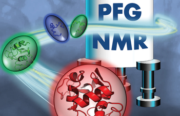 Diffúziós NMR használata a fehérjeszerkezet jellemzésében