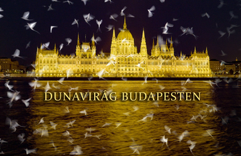 Dunavirág Budapesten