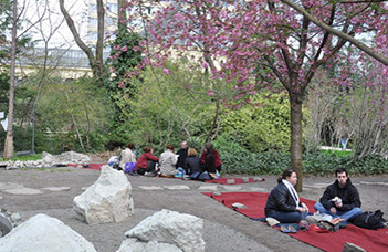 Sakura ünnep az ELTE Füvészkertben