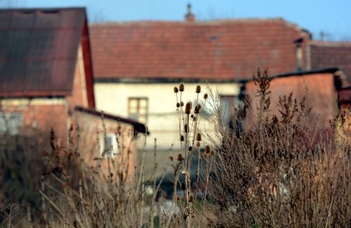 Új eszközök a sokproblémás családok támogatására