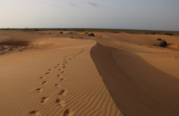 Afrika nyugati peremén: Szenegál