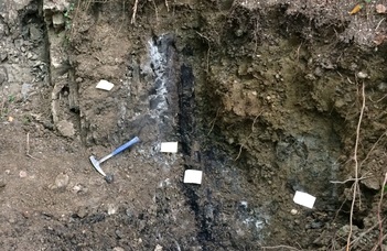 90 millió éves, raptorszerű dinoszauruszra bukkantak az ELTE kutatói