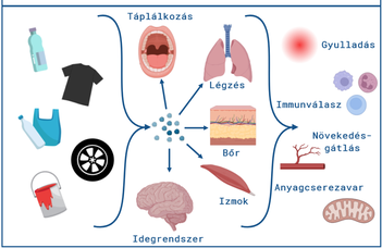 Minden, mindenhol, mindenkor – A nanoműanyagok a biológiában